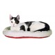 Lit douillet chat