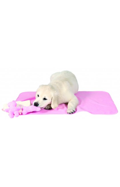 Set pour chiots avec couverture jouets serviette