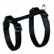 Harnais chat avec laisse nylon 1,20 m