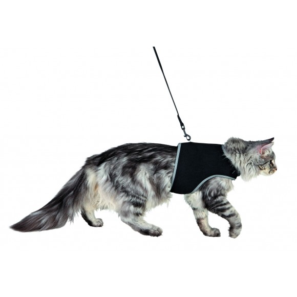 Harnais doux avec laisse pour chats XL 1,20 m