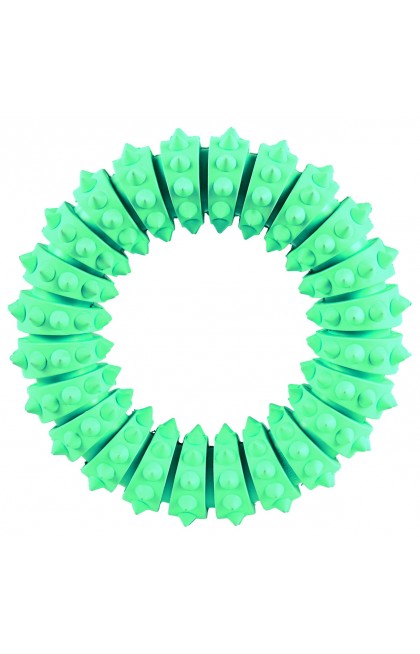 Denta Fun anneau menthe caoutchouc naturel