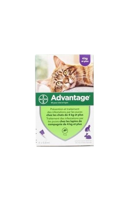 Anti Puce Et Tique Advantage Chat De Plus De 4kg