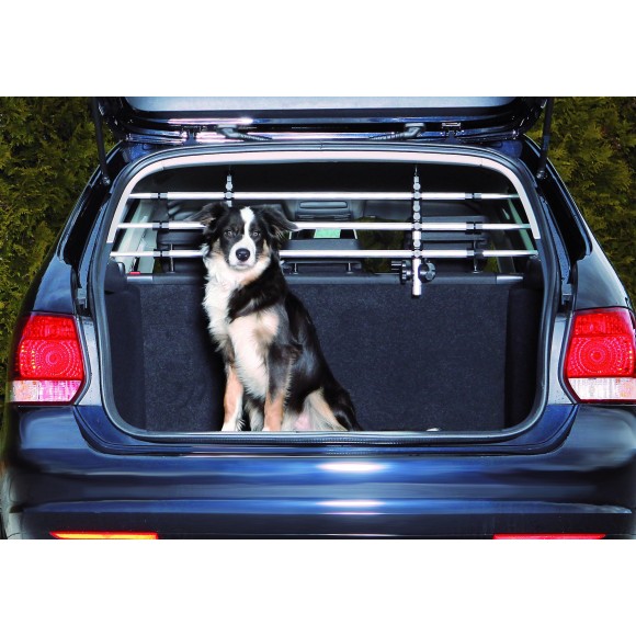 Protection chien pour voiture