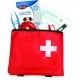 Set de premier secours pour chiens et chats